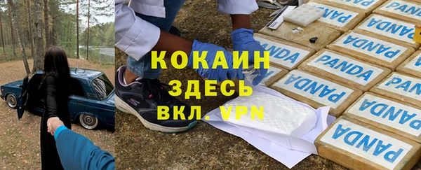 соль курить ск Белокуриха