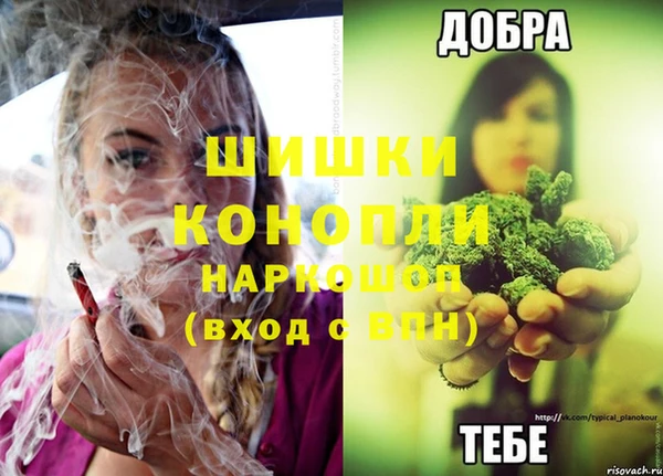 соль курить ск Белокуриха